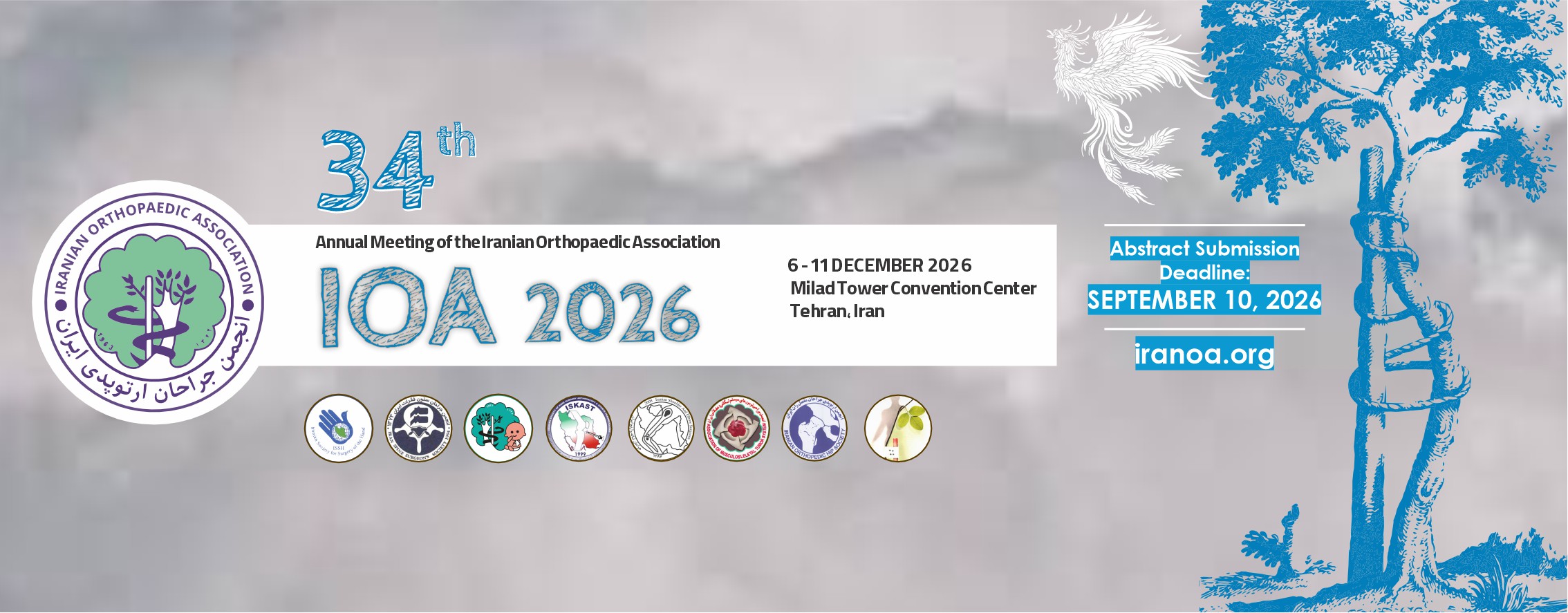 34th Annual Meeting Of The Iranian Orthopaedic Association